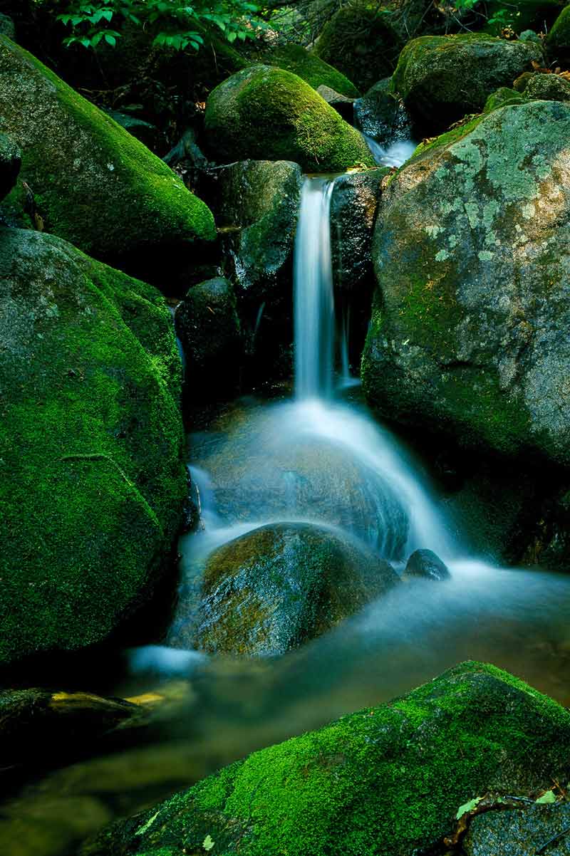 1756712011965090.jpg 岗山溪水,作者解鹏-新宾岗山的林溪清澈,负氧离子含量极高,夏季是避暑纳凉的旅游景区,秋季是欣赏枫叶的宝地。.jpg