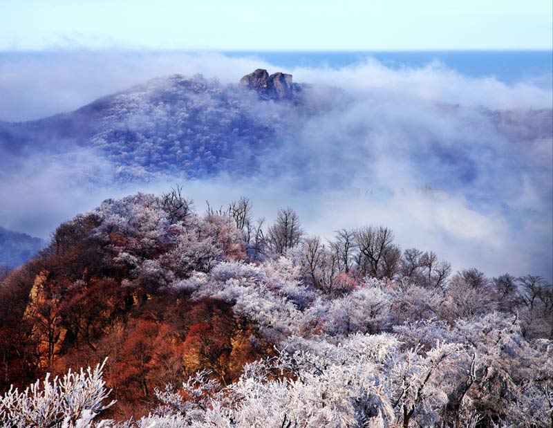 1756712043926828.jpg 摄影陈晓明,三块石国家森林公园,当年,抗联战士们就在这林海雪原里,以冰雪为甲,与日寇展开殊死搏斗。.jpg