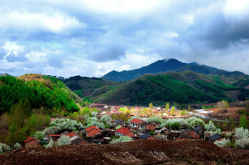 1756712154151948.jpg 摄影解鹏,山野间的军民情,在日寇严密的封锁下,像这样的村庄曾是抗联获取粮食、衣物的秘密据点。这张照片中人与自然的和谐画面,提醒着我们:英雄的抗争从未独行,人民的力量是胜利的源泉。.jpg