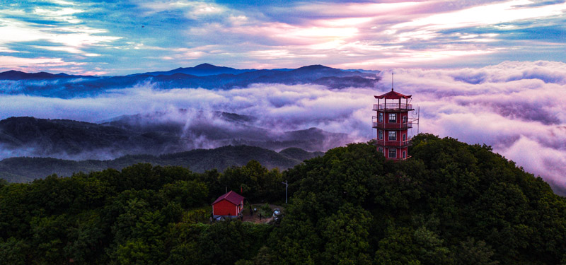 1756712176863983.jpg 摄影刘刚-云卷云舒-这片山林曾是东北抗日联军战斗的重要依托。抗联战士们在类似这样的山林里,与日本侵略者展开艰苦卓绝的游击战争,凭借山林的掩护,他们一次次突破敌人的封锁,用热血与忠诚捍卫民族尊严,这里的每一寸土地都见证着抗联战士们不屈的抗争精神.jpg