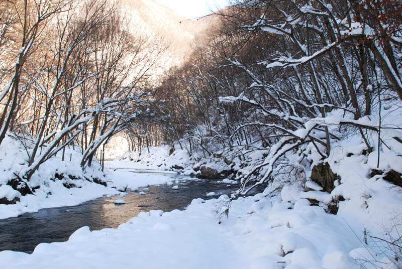 1756712216796040.jpg 摄影路红军,雪覆溪谷映忠魂,眼前这银装素裹的溪谷,曾是东北抗日联军战士们艰苦斗争的见证地。.jpg