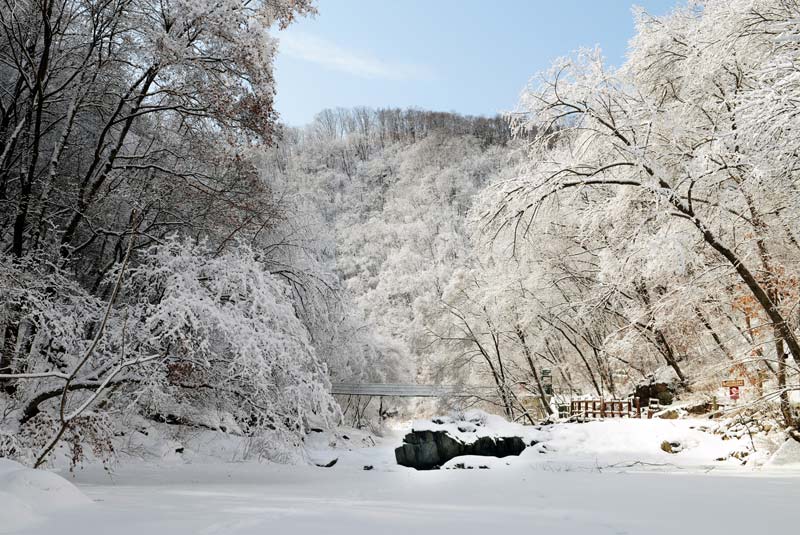 1756712258449422.jpg 摄影马云龙,雪漫林谷映忠魂-眼前这银装素裹的山林溪谷,曾是东北抗日联军战士们浴血奋战的战场。在滴水成冰的严冬,抗联战士们于这般林海雪原中,顶风雪、冒严寒,与装备精良的日寇展开殊死搏斗。.jpg