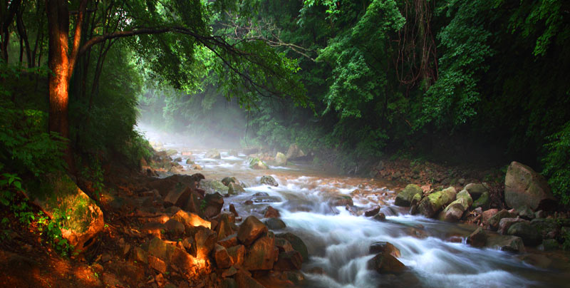 1756712482682515.jpg 摄影王劲松,清泉-晨光穿透枝叶洒在湍急的溪流上,这样的山林水系曾是东北抗联在敌后生存的-“天然粮库”-与-“生命通道”。.jpg