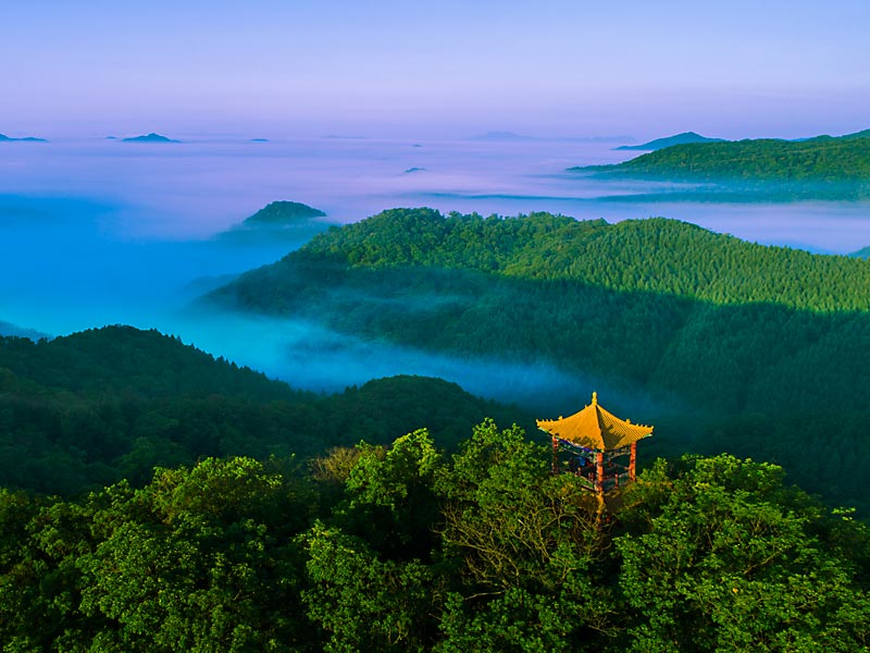 1756712699587494.jpg 摄影王忠党抚顺县天女山——登山望远,感受自然之美、云海之迷,嗅草木溢香、闻生灵百态.jpg