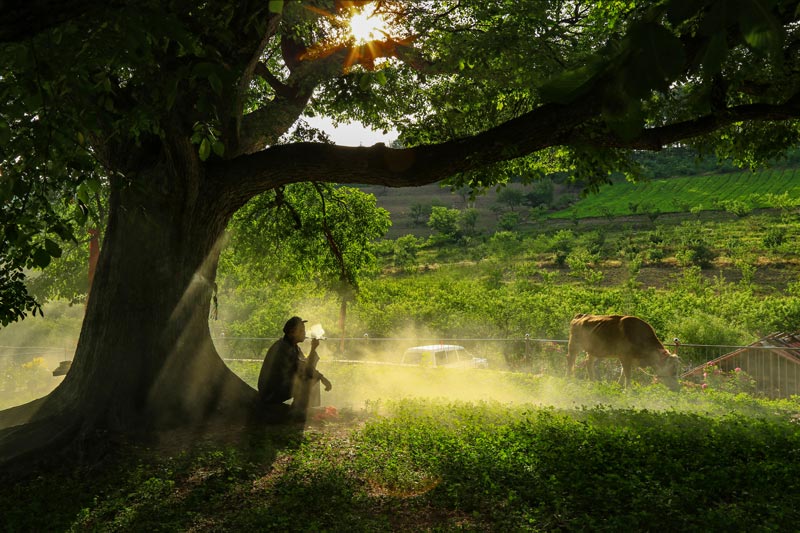 1756712721991258.jpg 摄影魏兵,追思,这张照片中人与自然的和谐画面,恰是对那段-“军民鱼水情”-的温馨映照,提醒着我们:英雄的抗争从未独行,人民的力量是胜利的源泉。.jpg