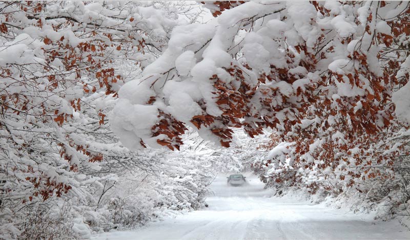 1756712747522847.jpg 摄影吴喆,北国风雪,抗联战士以雪为被、以林为掩护,在这样的林海雪原中踏雪行军、伏击日寇。河谷是他们获取水源的生命线,密林是开展游击战的天然屏障。.jpg