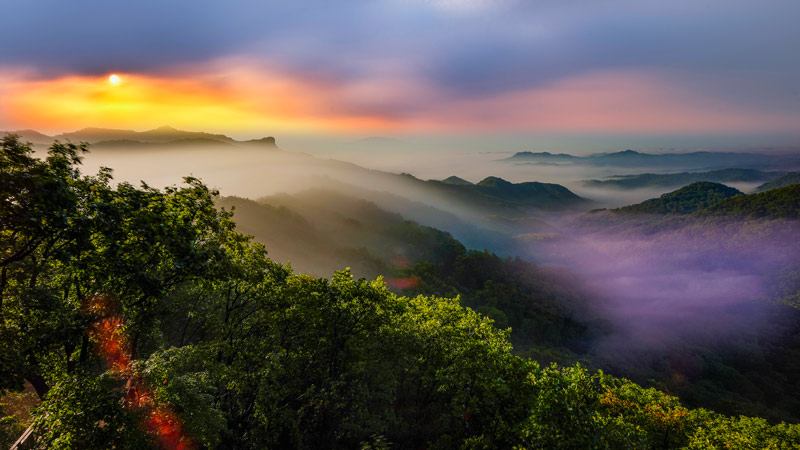 1756712775493677.jpg 摄影吴喆,晨曦林海忆英魂-与日寇展开艰苦卓绝的游击斗争。抗联将士以山林为掩护,在晨曦与暮色中穿梭,凭借着对民族解放的坚定信念,于这片山野间书写下不屈的抗争史诗。.jpg