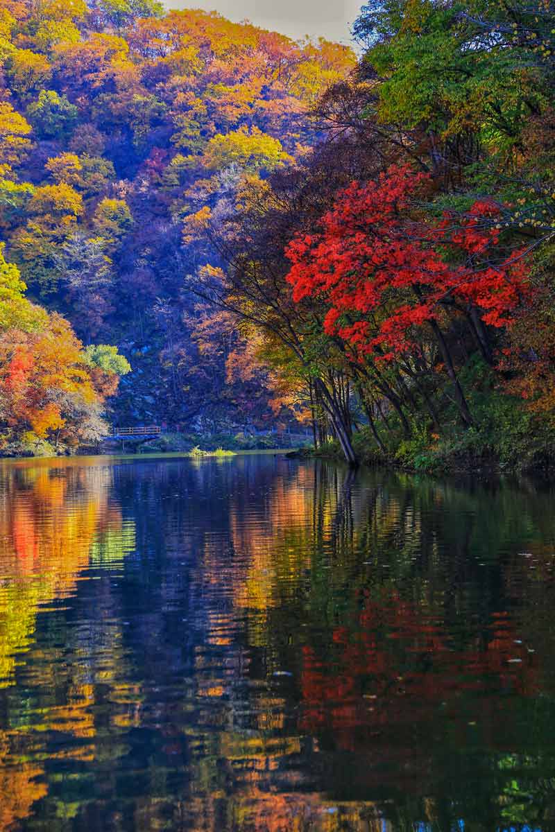 1756712876505165.jpg 摄影张献武秋,染山水忆烽烟-斑斓的秋叶似染着先烈们的热血,平静的湖水曾映照过他们坚毅的身影。.jpg