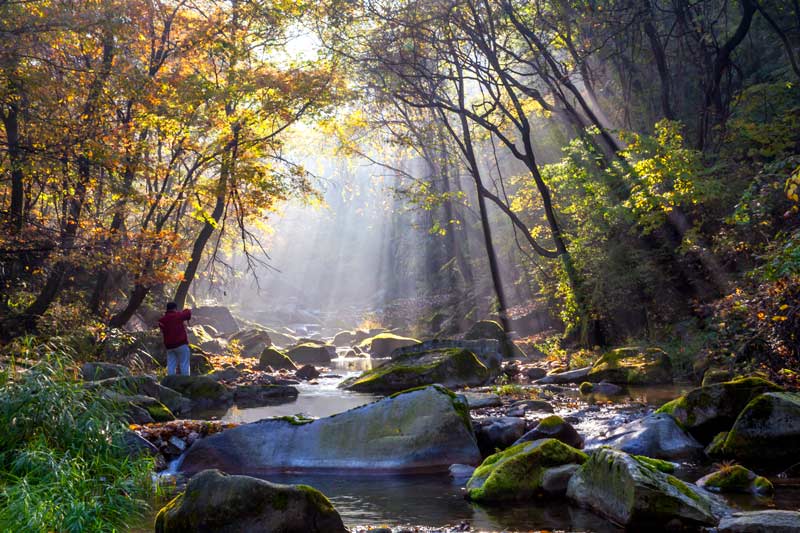 1756713078844902.jpg 《三块石秋色》作者解鹏.jpg