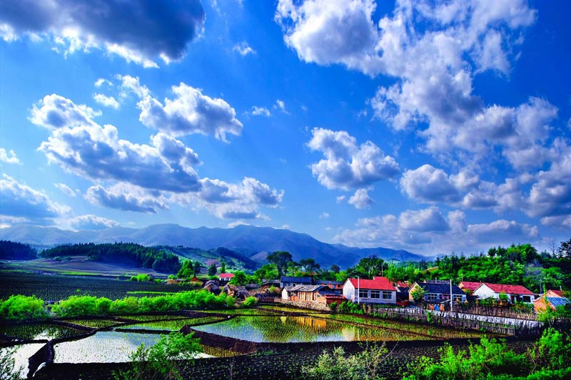 1756713096761401.jpg 白云悠溶-作者陈晓明.jpg