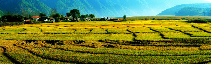 1756713148740364.jpg 抚顺県上马乡台沟稻香村_作者张振光.jpg