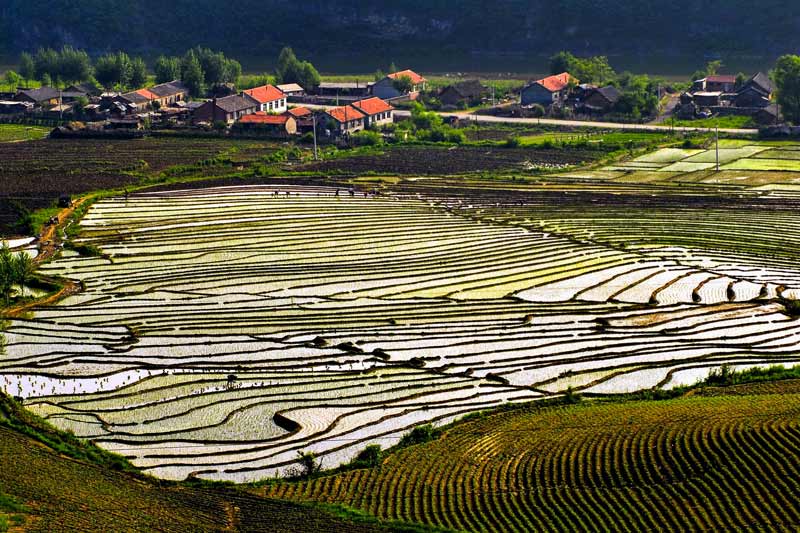 1756713517924337.jpg 绿水人家-作者张献武.jpg