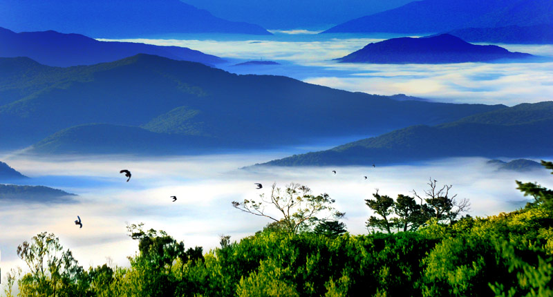 1756713688521581.jpg 新宾老秃顶子-作者李刚.jpg