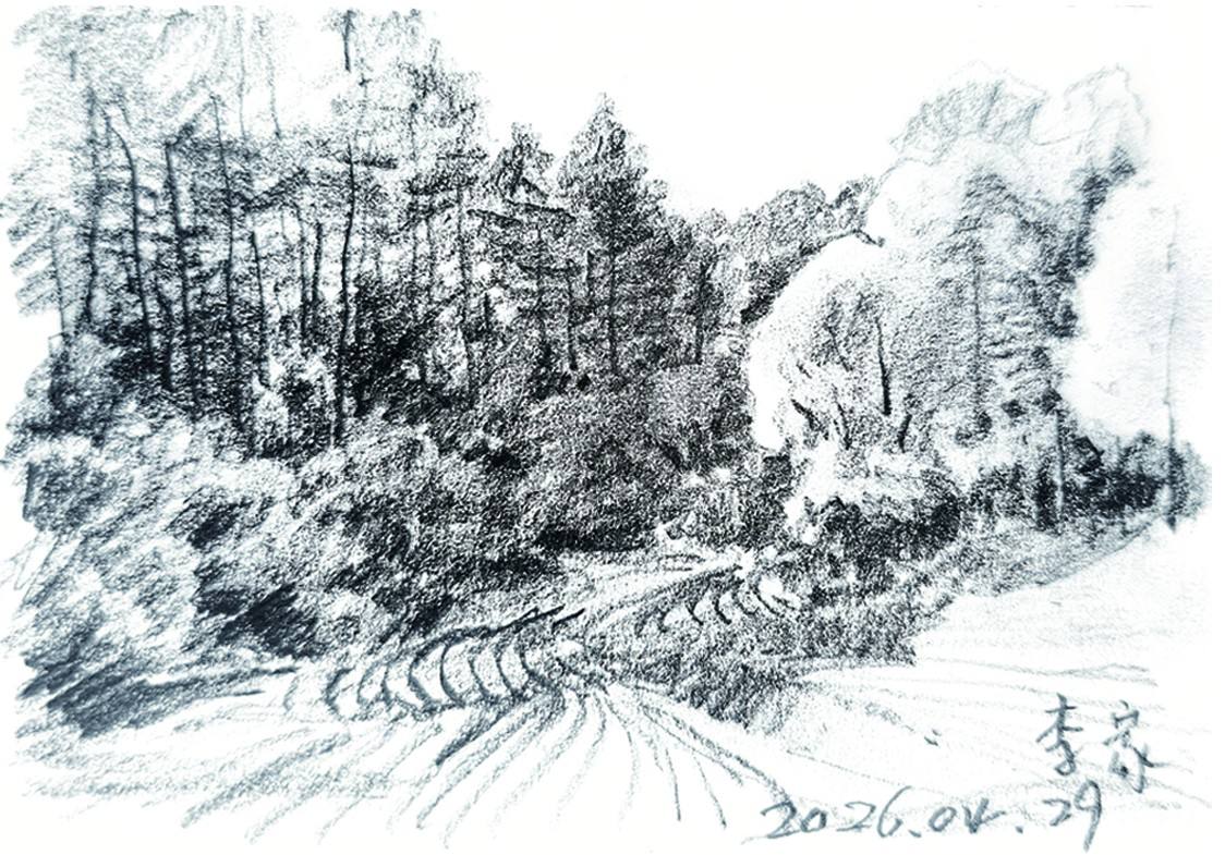 3.陈涛《山沟里的田》14.jpg